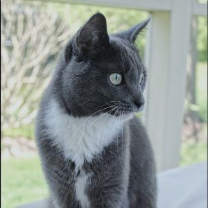 Meet your Posher, Nancy